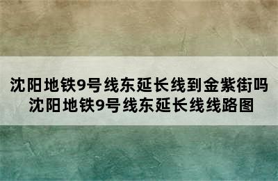 沈阳地铁9号线东延长线到金紫街吗 沈阳地铁9号线东延长线线路图